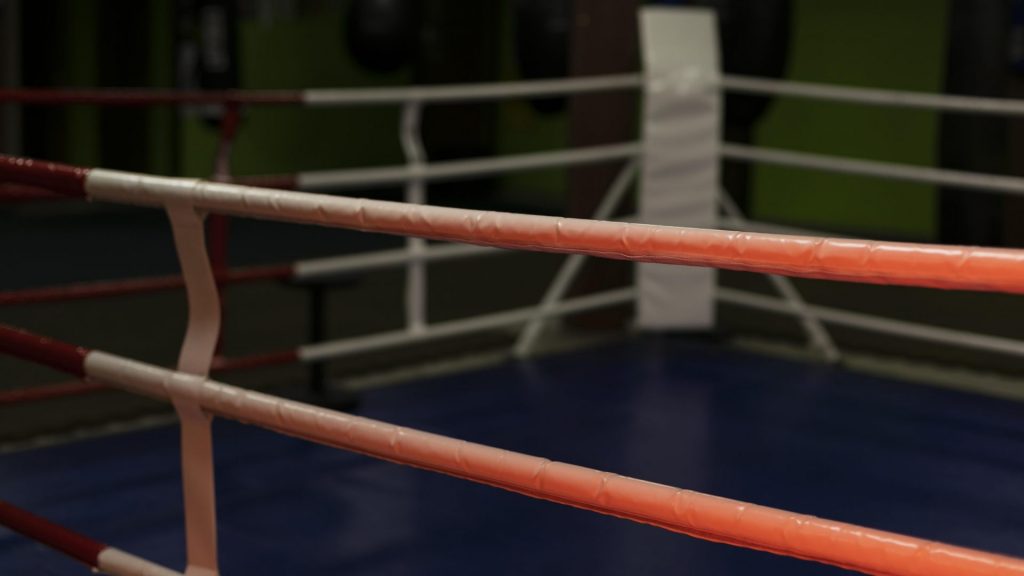 delegar eficazmente - bajarse al ring - mentorizacion