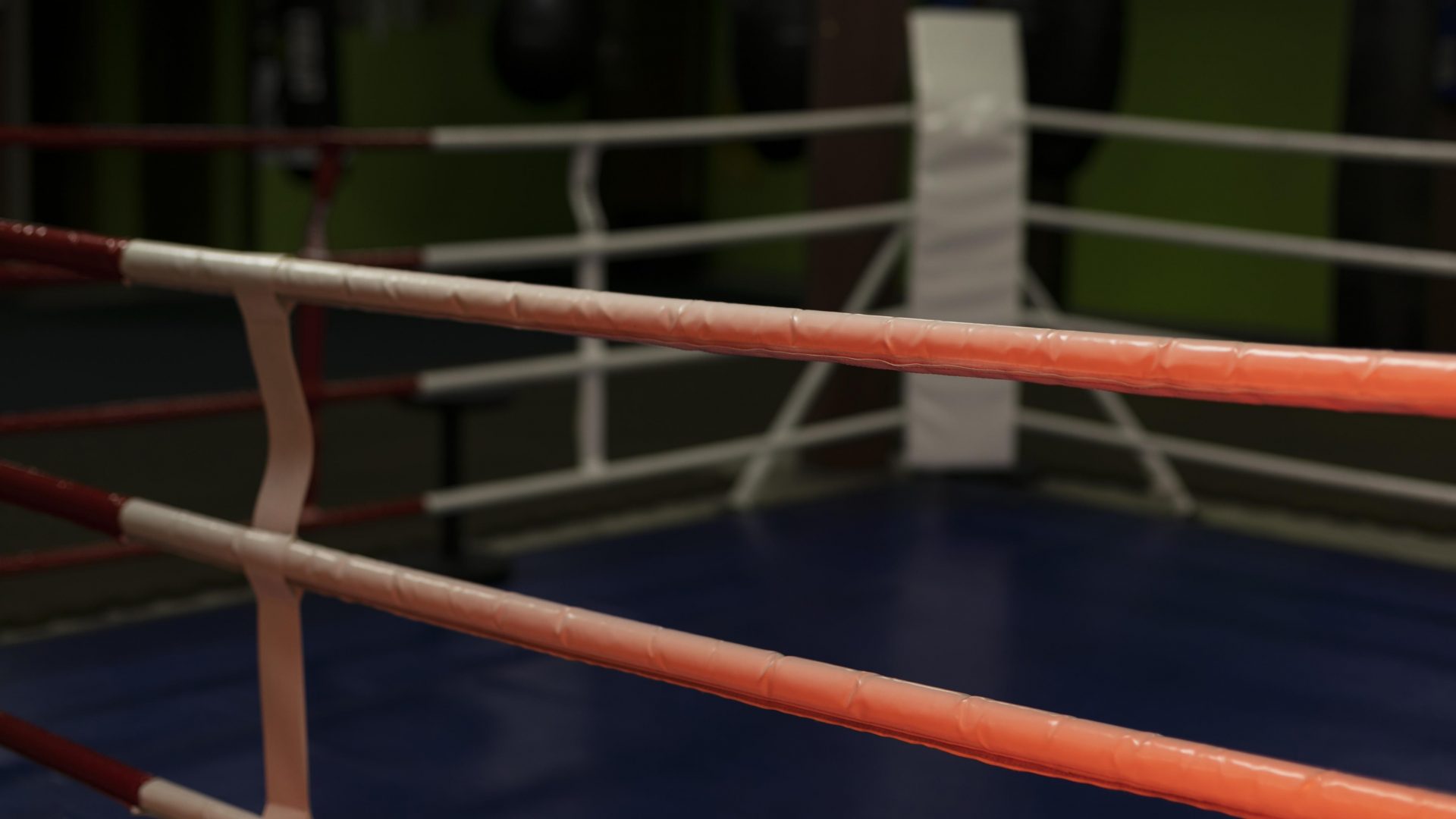 delegar eficazmente - bajarse al ring - mentorizacion