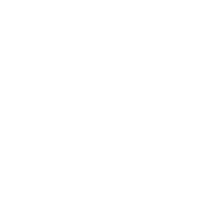 300 logo prox
